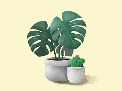 Plants