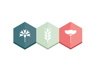 New Bio Logo & Palette bio bluebottle icon logo poppy wheat