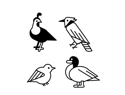 Birbs bird icons illustration logo nature