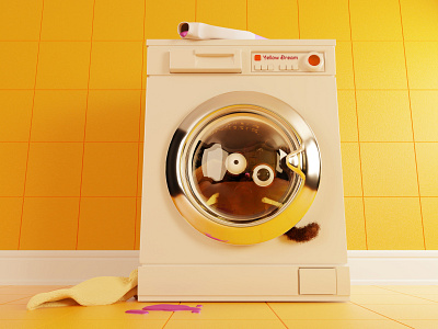 what's going on? cat washing machine yellow