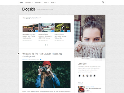 Blogside WordPress Theme blog free responsive wordpress wordpress theme