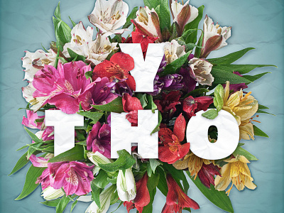 Y Tho envato flowers illustration typography weekday warmup