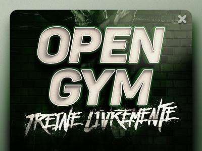 Open Gym