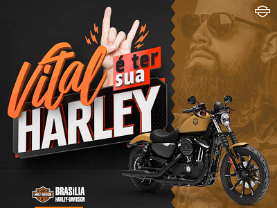 Vital Harley Davidson design harley davidson rock vital