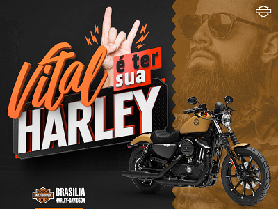 Vital Harley Davidson