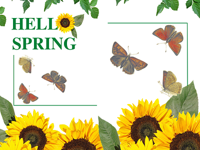 Hello Spring