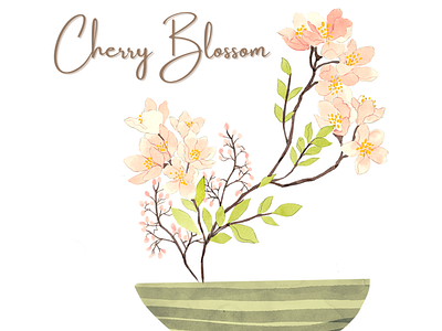 Cherry Blossom