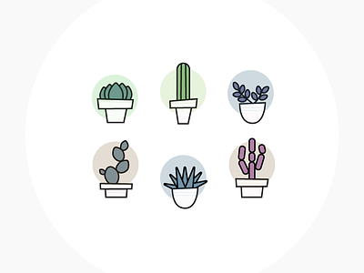 Spring Icon Set cactus icons plants spring succulents