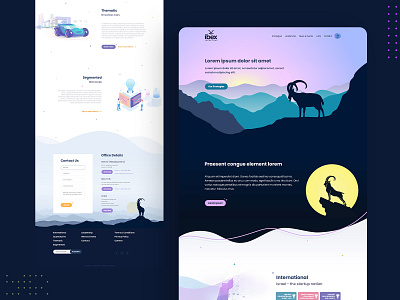 Ibex Web Design