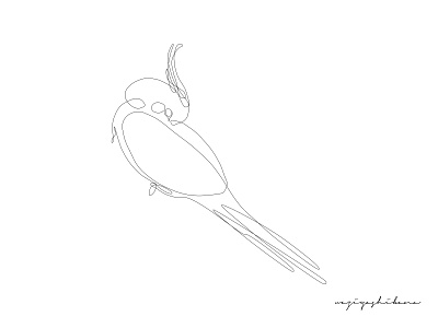 cockatiel bird animation art behance design dribbble figma fun graphic design illustration pencil art postoftheday sketchbook ui ux vector