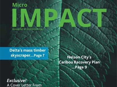 Impact Micro Magazine cover magazine cover