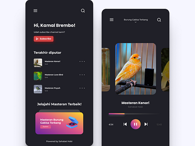 Love Bird Mastering Music App app mobile app ui ui design uiux