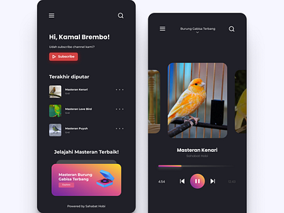 Love Bird Mastering Music App