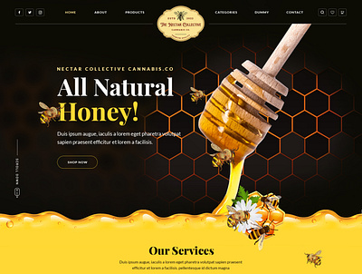 Honey 3d animation branding graphic design logo motion graphics ui