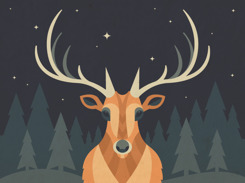 Elk by Alex S. Mostov for DigitalOcean on Dribbble