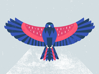 Apache bird bright eagle feather geometric hawk icon illustration texture vector