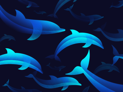 Dolphin Party