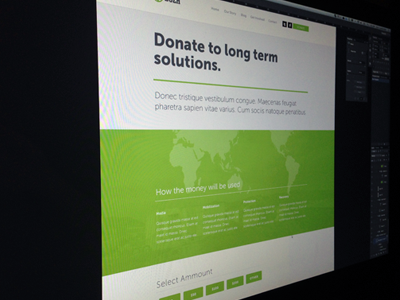 Donate page clean donate form green hero web desigm white world