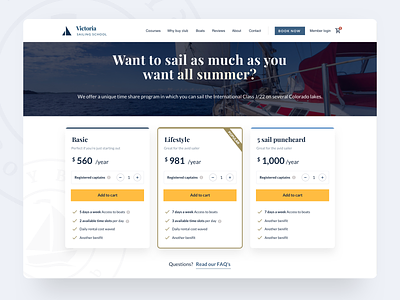 Pricing table checkout clean form pay price pricing product design sail sailing table ui ux web design agency website design