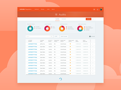 Audit Dashboard