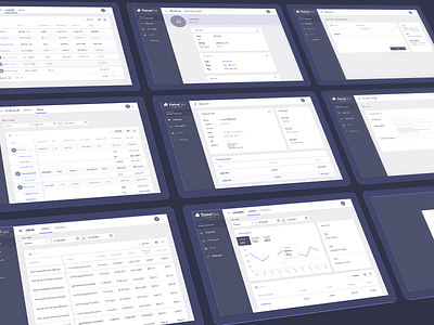 Wireframes