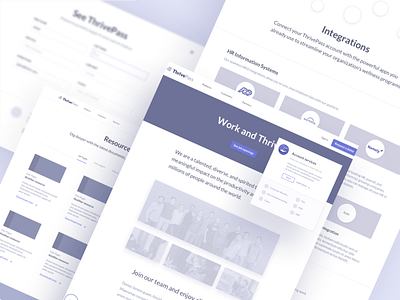 ThrivePass wireframes - more about design ui user ux web design wireframes wires