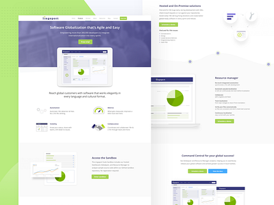 Lingoport Products web page clean dashboard gauge graph green purple ui ux web web design