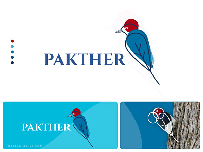 Bird Logo Design - Pakther