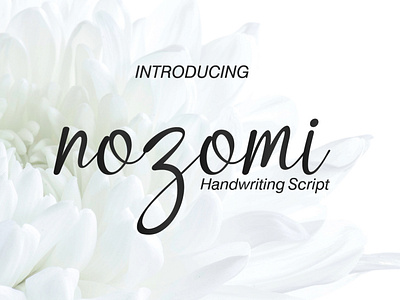 Nozomi Font