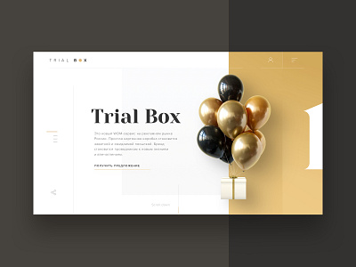 Trial Box – Website art black branding company concept design direction dribbble flat future illustration lettering logo minimal typography ui ux vector web website