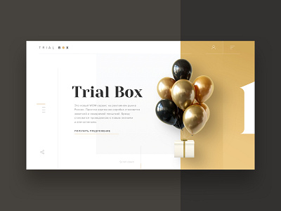 Trial Box – Website