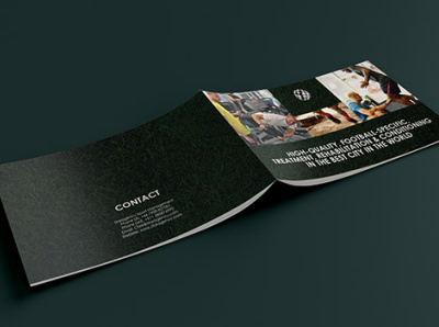 Profile Design-Front & Back brand book brand design branding company profile portfolio profile page