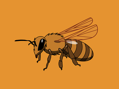 Honey Bee bee honeybee illustration illustrator insect vector vector illustration