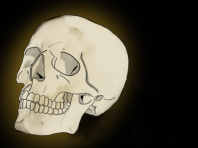 Skull halloween illustration skull skull art weeklywarmup