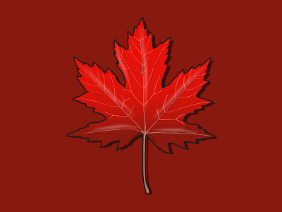 Maple Leaf autumn canada illustration leaf maple nature tree vector vector art vector illustration
