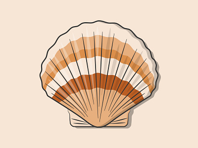 Scallop illustration scallop sea seafood vector vector art vector illustration