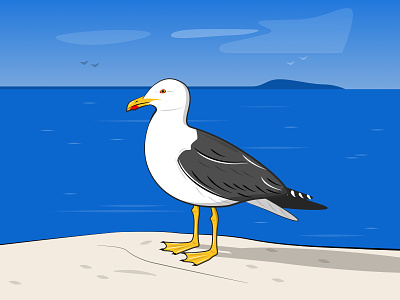 Gull bird gull illustration sea shore vector vector art vector illustration