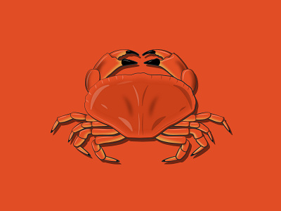 Crab crab illustration ocean sea vector vector art vector illustration