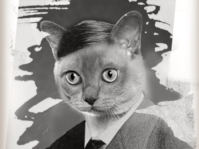 Southern Gothic cat layerjam mixtape photoshop