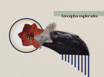Portafolio collage colombia concepto design diagram dibujo editorial editorial art fotografia illustration portafolio