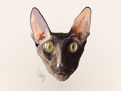 Simon the cat cat color cornish digital painting digital portrait inspiration kitten simon sweet
