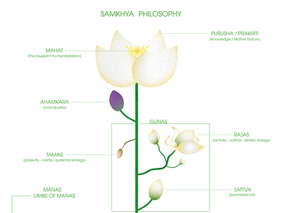 Samkhya Philosophy Chart design illustration vector