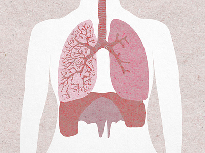 Lungs diagram