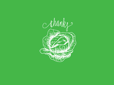 cabbage + thank you design hand lettering illustration lettering stationery