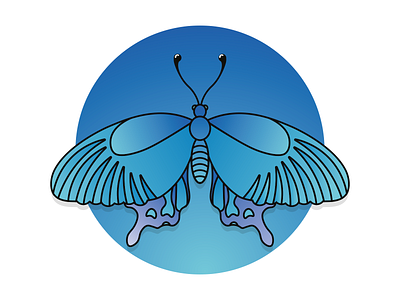 butterfly butterfly caracter design design flat art flatdesign illustration vector