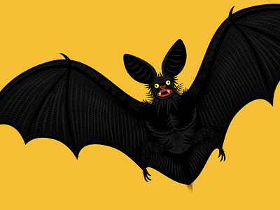 Bat bat illustration lines weird wings