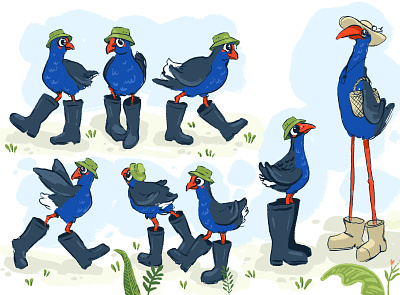 Character sheet for my first children's book! birds characterdesign childrens book design graphicdesign illustration nature new zealand picture book plants pukeko