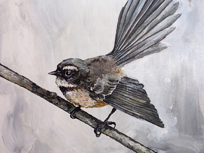 Fantail on a branch