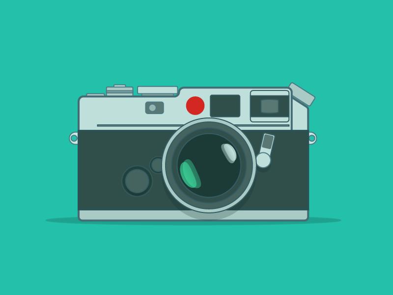 Leica by Pablo Stanley on Dribbble