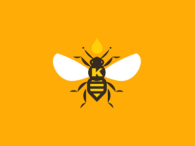 Knapp's Nectar bee branding colorado flat honey bee icon logo logomark modern packaging design